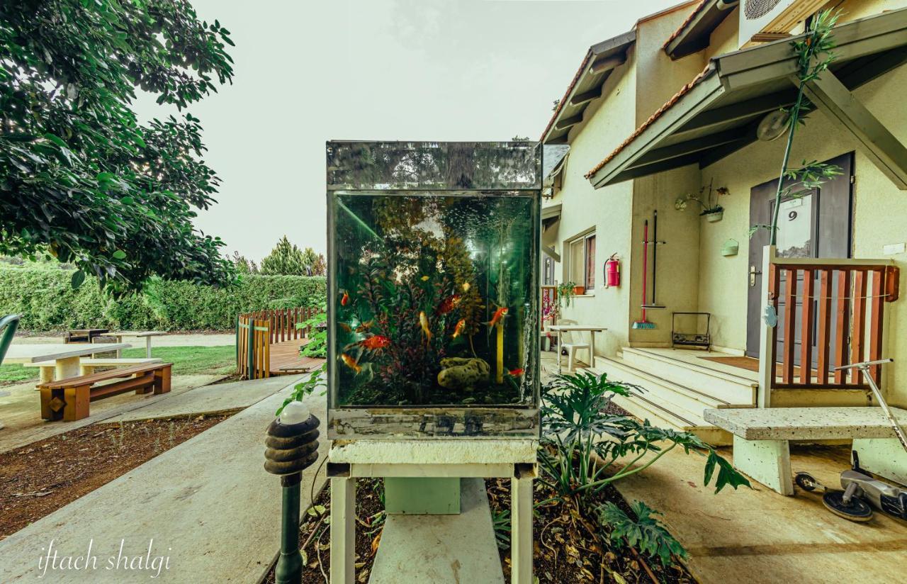 Nuriel Fruit & Guest House She'ar Yashuv Luaran gambar